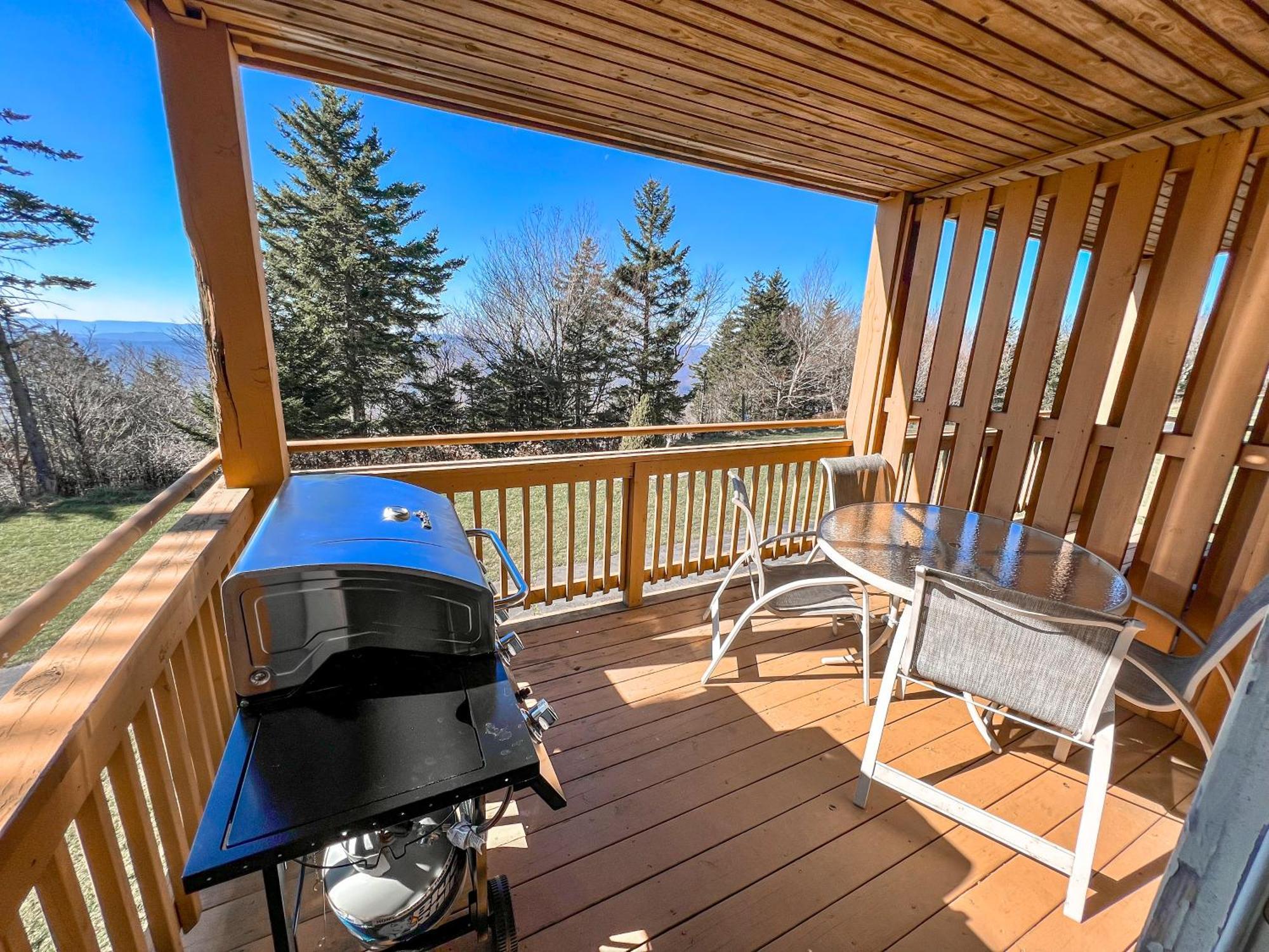 Remodeled Summit Condo At Snowshoe - Modern & Cozy エクステリア 写真